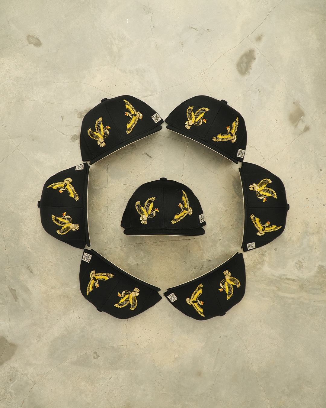 TCC GOLDEN GUARDIANS OF THE EAST CLASSIC SNAPBACK