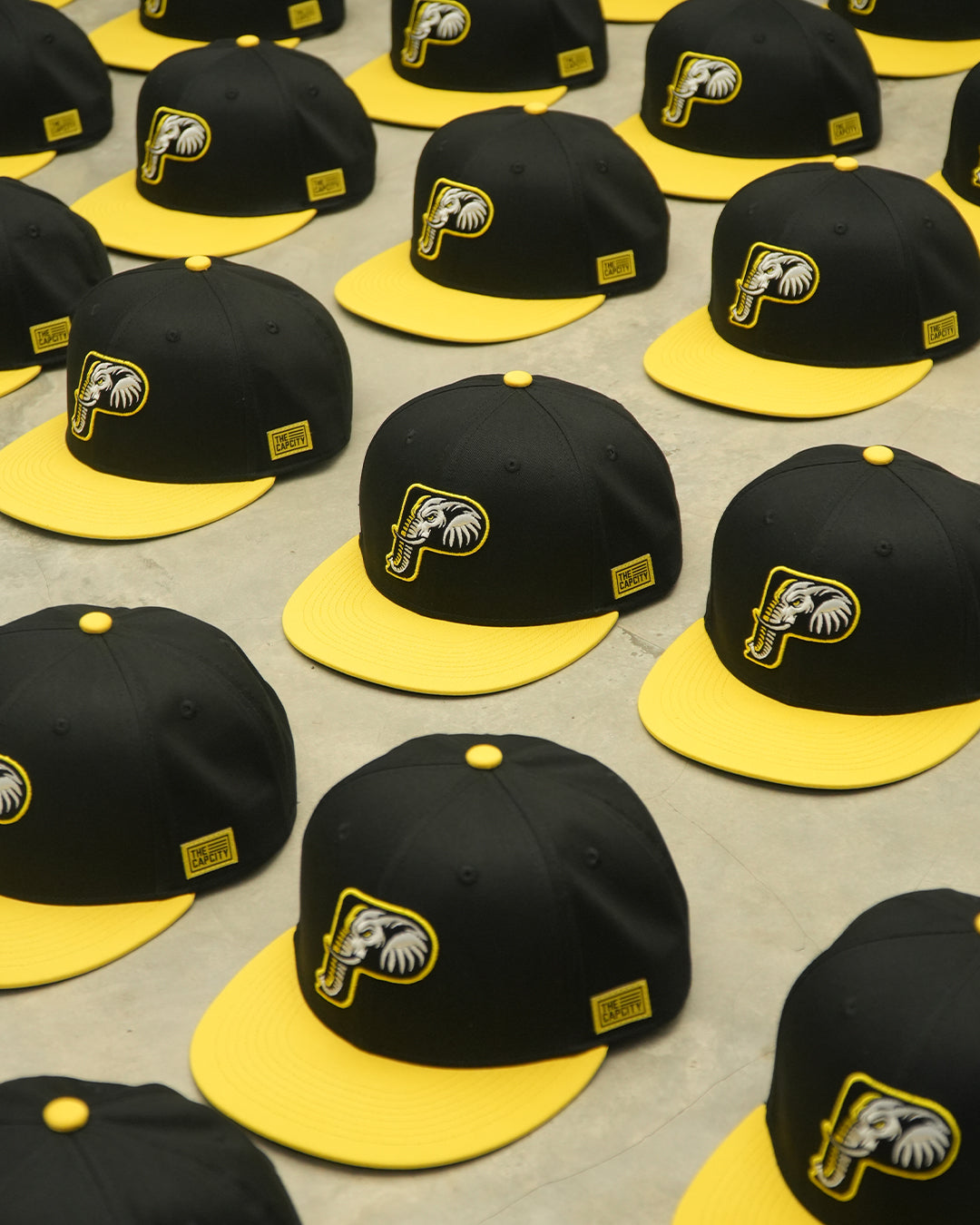 TCC P-GAJAH CLASSIC SNAPBACK