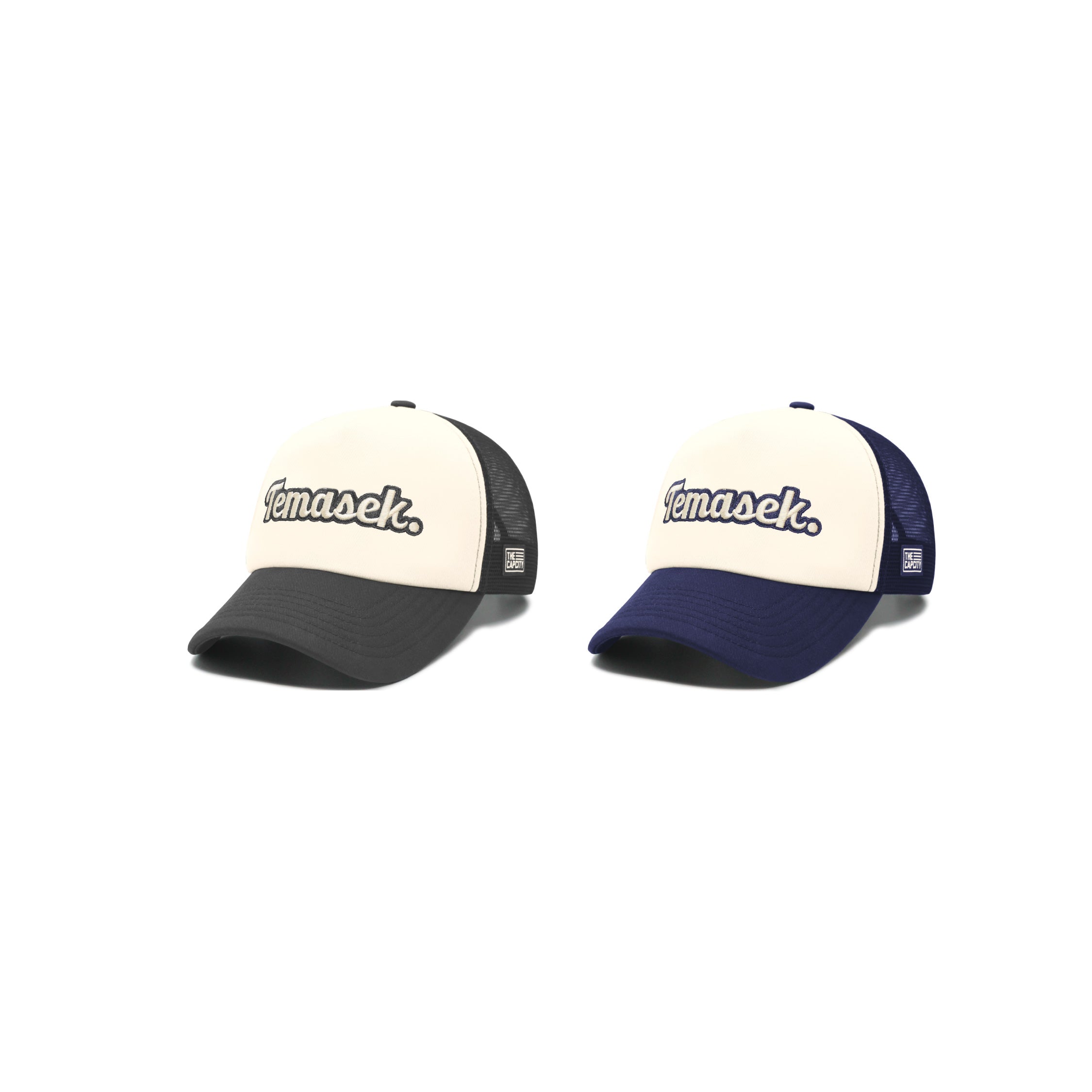 TEMASEK PUFFY TRUCKER SNAPBACK COLLECTION