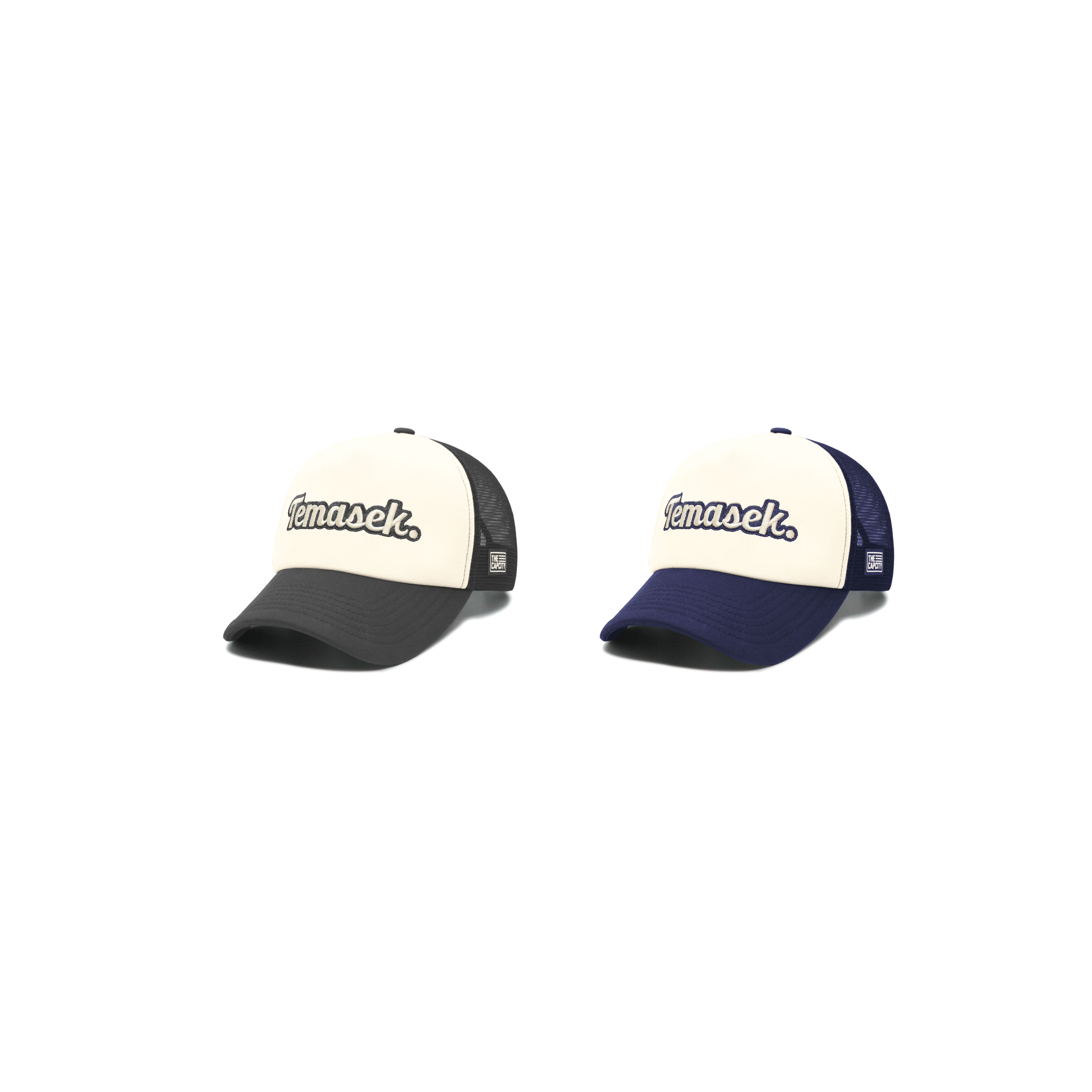 TEMASEK PUFFY TRUCKER SNAPBACK COLLECTION